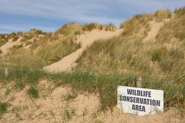 wildlife conservation sign at Talacre sand dunes point of ayr Flintshire amongst the marram grass