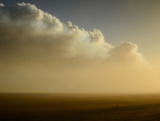 The smoke column of the 2014 Bardarbunga eruption at the Holuhraun volcanic fissures at sunset...