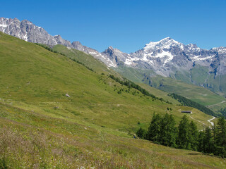 alpine meadow in the mountains