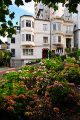 Fototapeta na wymiar A view of the gardens and buildings of famous Lombard Street, San Francisco, California, USA