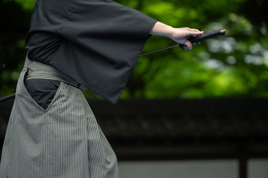 「剣豪」の画像 531 件の Stock 写真、ベクターおよびビデオ Adobe Stock