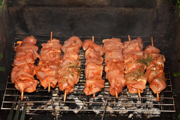skewers on a barbecue , kebab,frigarui,