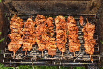 skewers on a barbecue , kebab,frigarui,
