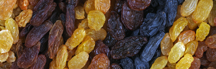 Several different varieties of raisins are placed in rows obliquely. The texture of grains of raisins of different colors.