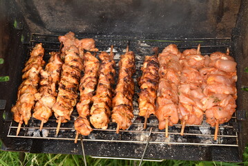 skewers on a barbecue , kebab,frigarui,