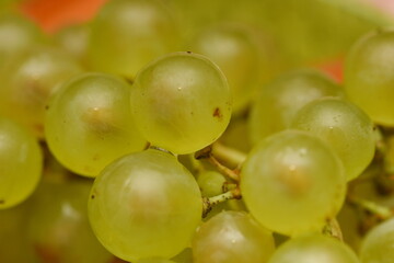 green grapes at a wedding