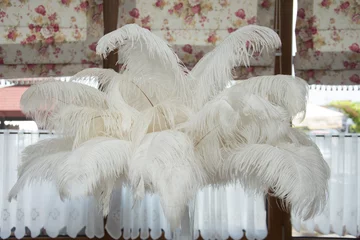 Schilderijen op glas White ostrich feather ,white feathers, wedding decoration theme © Laurenx