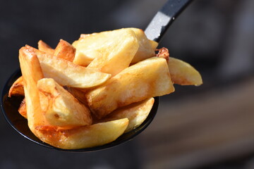 crispy chicken and fried potatoes