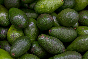 Food backgrounds. Fresh vegetables. avocado in supermarket.