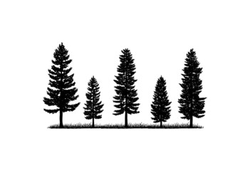 Obraz premium Old Pine Tree Silhouette on the Park Residential landscape Hand Drawing Symbol Vintage Seal Stock Vector 