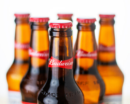 Budweiser beer studio photo, renowned brand of beer