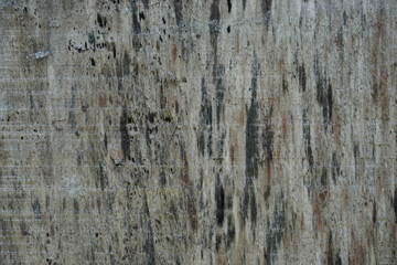 Fototapeta premium Rough Wooden surface close up. Wood texture. 