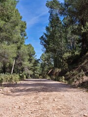 Caminos en la naturaleza 