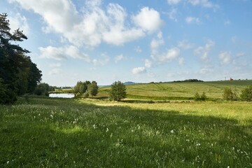 Summer rural meadow landscape with clouds
