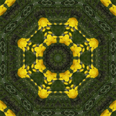 abstract background of flower pattern of a kaleidoscope. Yellow green round fractal mandala. square...