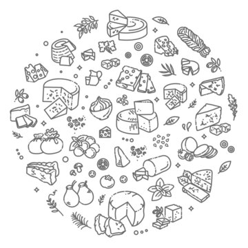  illustration of cheese types