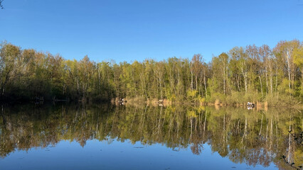 Tranquil small lake with trees in spring and blue sky