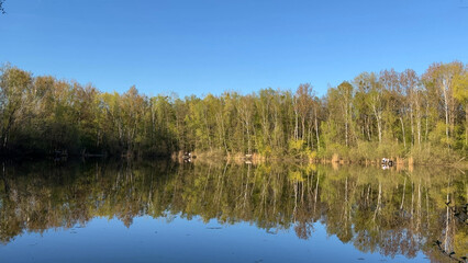 Fototapeta na wymiar Tranquil small lake with trees in spring and blue sky