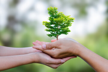 Two people holding Big tree on green background. Demonstrates energy savings and turns to solar and natural energy. Saving energy is helping both ourselves and the planet.