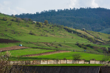 Spring landscape with mountains and forest, Armenia