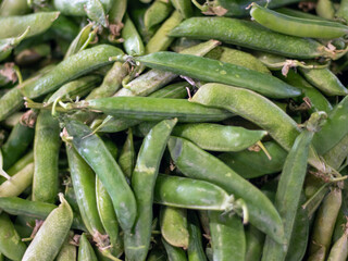 green fresh broad beans on the market 