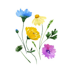 Watercolor floral bouquet. Wildflowers. Vector illustration.