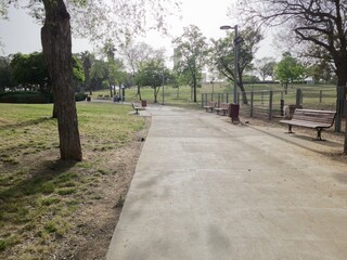 Green Beautiful View of Park Edith Wolfson, Tel Aviv, Israel