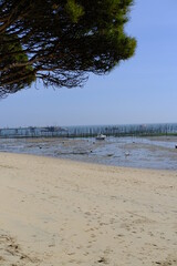 The bay of Arcachon views from the Cap Ferret city.