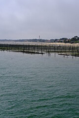 A close-up on some oyster farm during low tide at Cap Ferret on the Arcachon bay.