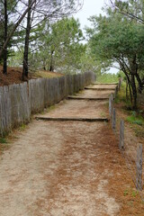 A small path to go to the beach and the ocean. Cap Ferret, spring 2022.