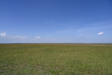 best view sky and greenery in maasai mara