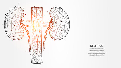 Abstract polygonal vector illustration of human kidneys on a light background. Internal organ low poly design. Nephrology medical banner, template or background.