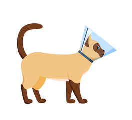 Cat in cone collar, siamese cat wrapped in Elizabethan collar, protection from licking for pet after treatment, cone of shame, vector