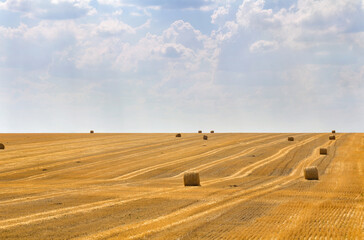 Obraz premium A field with straw bales after harvest on the sky background
