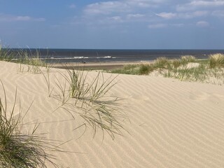Fototapeta na wymiar Sanddünen am Strand der Nordsee in Holland Noordwijk