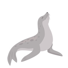 Antarctic Fur Seal.vector illustration isolated on white