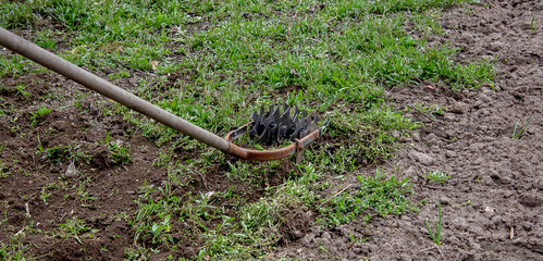 a man cleans weeds in the garden. Spring cleaning on the farm.