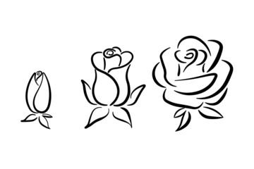 Rose element set, simple flat icon collection, line art