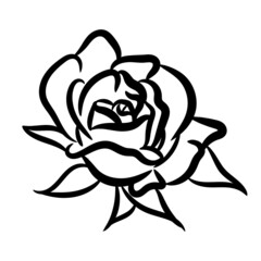 Vector logo, rose line art illustration, flat icon flower