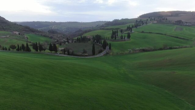 Cinematic aerial footage of the curving cypres road near Monticchiello during golden hour, in Tuscany, Italy