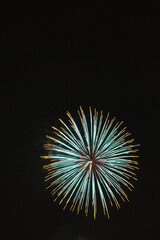 Fototapeta premium Holiday Fireworks in Summer