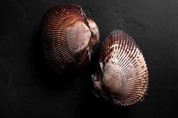 Raw vongole clam in a shell on a black background. Fresh seafood in a whole shell