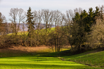 Eine umzäunte, von Bäumen gesäumte Weide Landschaft in einer Lichtung oder Mulde