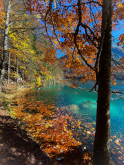 Laghi di Fusine, Friuli Venezia Giulia (Italy) Autumn on the lake. Autumn foliage in Italy.