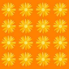 Pattern of orange daisies special for posters and prints	
