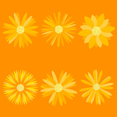 Set of orange flowers on orange background ideal for projects and decorations	