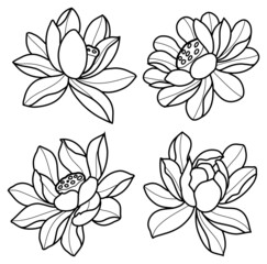 set of lotus water lily flowers editable outline black and white vector svg
