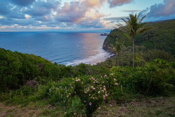 View of Pololu Valley with pink clouds at sunset in the Kohala Forest Reserve north of Big Island...
