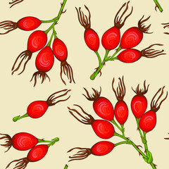 Colorful natural seamless pattern. Sprigs with berries. Can be used for a textile design