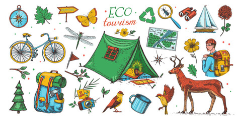 Fototapeta premium Eco tourism set. Eco friendly tourism. Tourist with backpack and tent. Wild nature. Bicycle, map, animals and plants. Hand drawn in vintage style. Vector illustration.